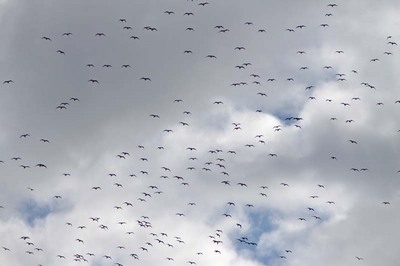 IMG_2443.jpg
