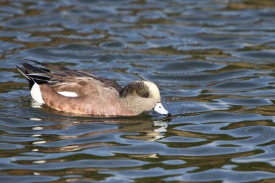 IMG_2564.jpg