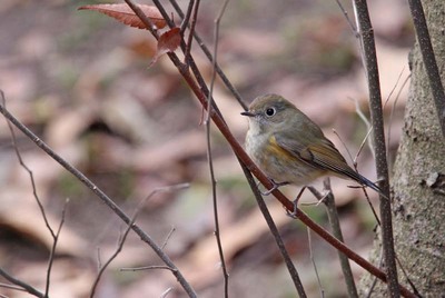IMG_3189.jpg