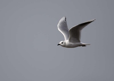 IMG_3801.jpg