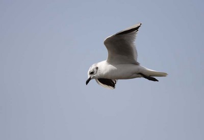 IMG_3845.jpg