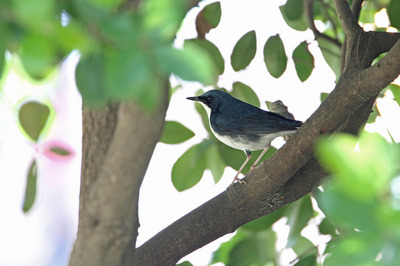 IMG_4077.jpg