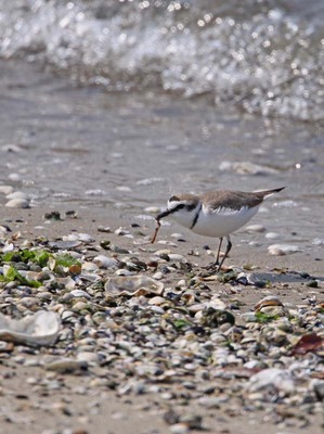 IMG_5049.jpg