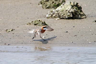 IMG_5081.jpg