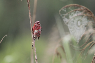 IMG_5346.jpg