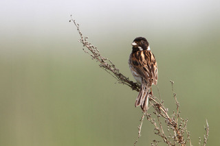 IMG_5834.jpg