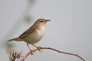 IMG_5899.jpg
