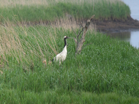 IMG_6284.jpg