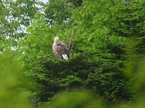 IMG_6306.jpg