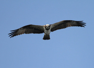 IMG_6313.jpg
