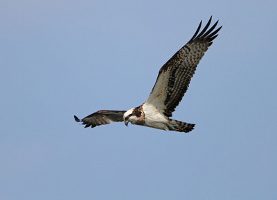 IMG_6535.jpg