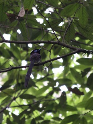 IMG_8007.jpg