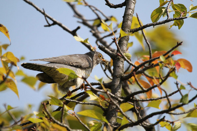 IMG_8902b.jpg