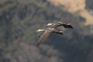 IMG_9634.jpg