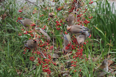 P2260200.jpg