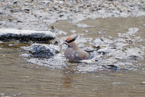 P2260433.jpg