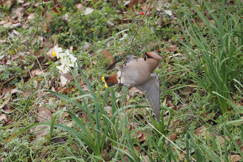 P2260888.jpg