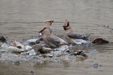 P2261588.jpg