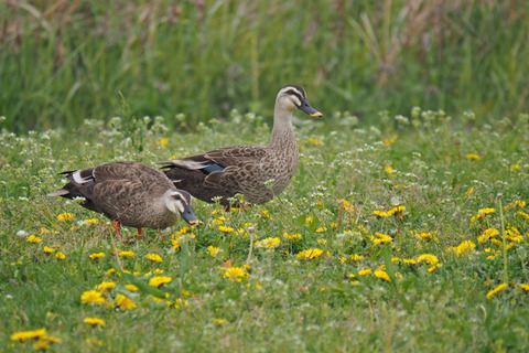 P4030149.jpg