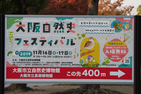 PB160170.jpg