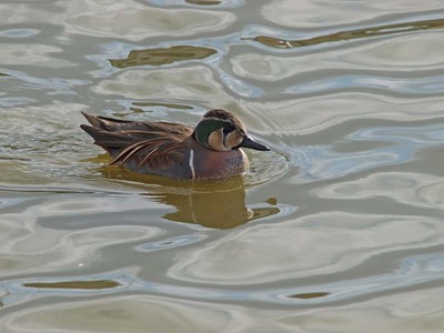 PC310064.jpg